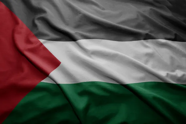 Palestine Flag